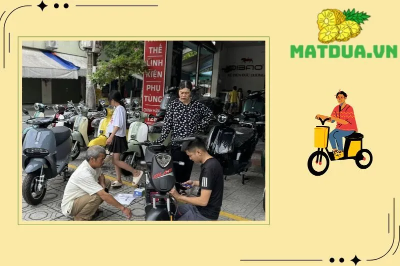 Xe đạp điện Đức Dương