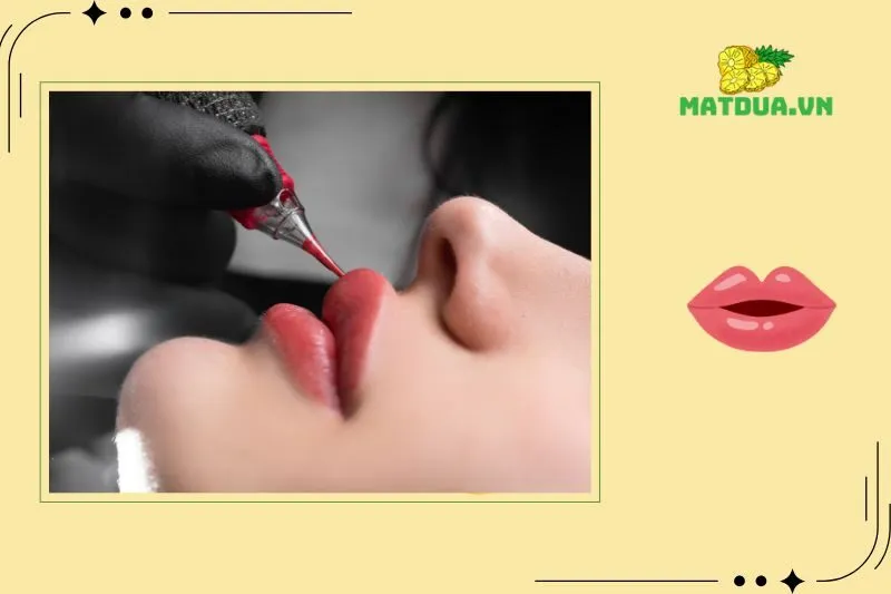 Đâu Là Địa Chỉ Phun Môi Hà Nam Đáng Đến Nhất? Khám Phá Ngay!