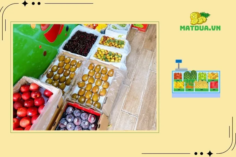 Khám Phá Top 5 Cửa Hàng Trái Cây Sạch Tại Hà Nam