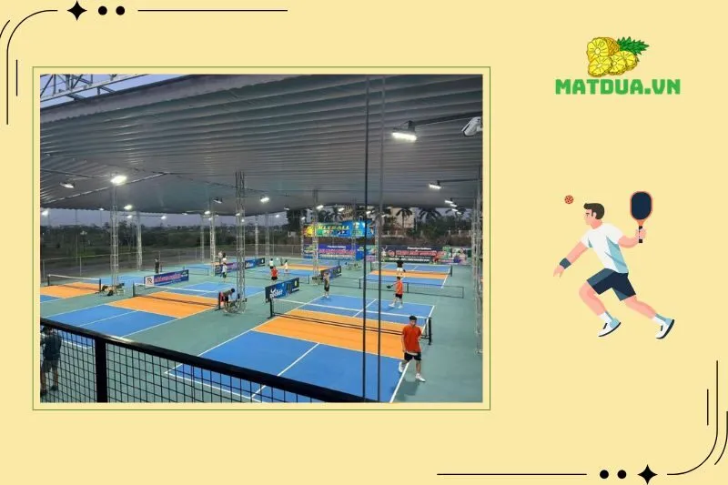 Khám Phá Những Sân Chơi Pickleball Hà Nam Đỉnh Nhất