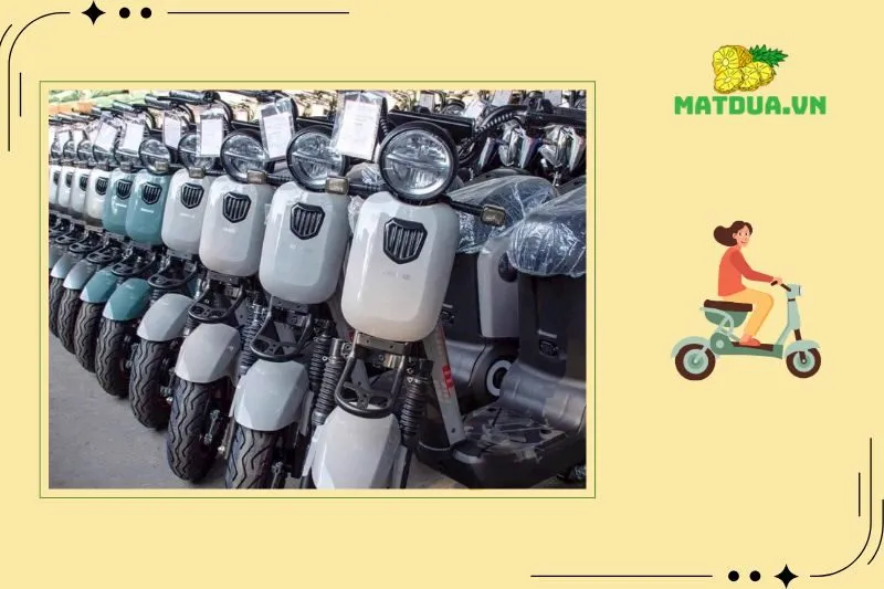 Xe Đạp Điện Hà Nam: Mua Ở Đâu Chất Lượng, Giá Tốt?